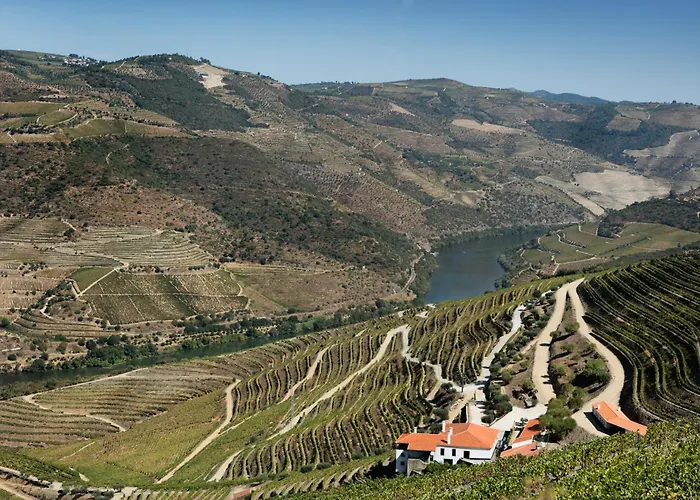 Quinta Da Gricha