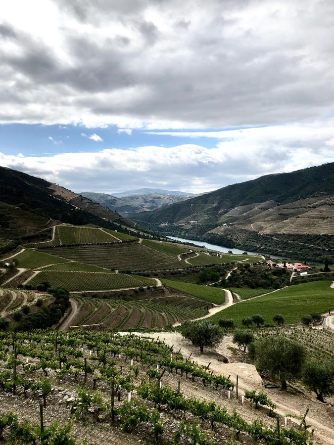 Gasthof Quinta Da Gricha